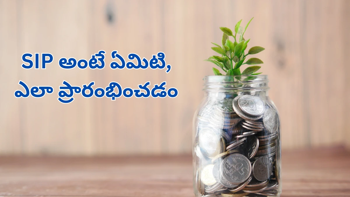 SIP ప్రారంభించడం ఎలా? మొదటి అడుగులు!